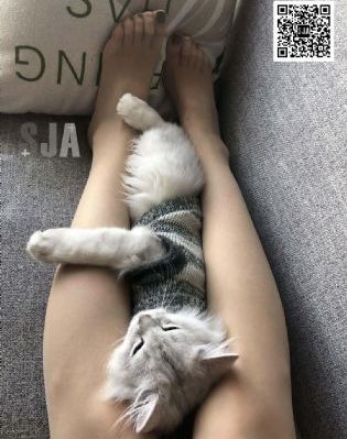 亚洲一区二区精品久久AV-国语剧情国产在线视频
